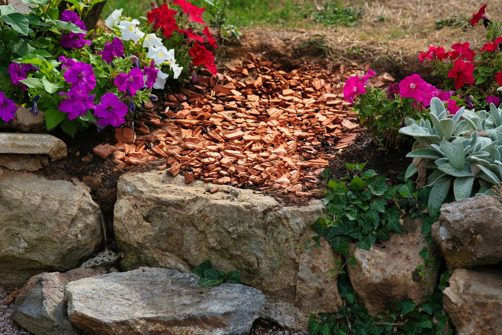 A planting bed of pink, white and red petunias with fresh mulch and edging stones