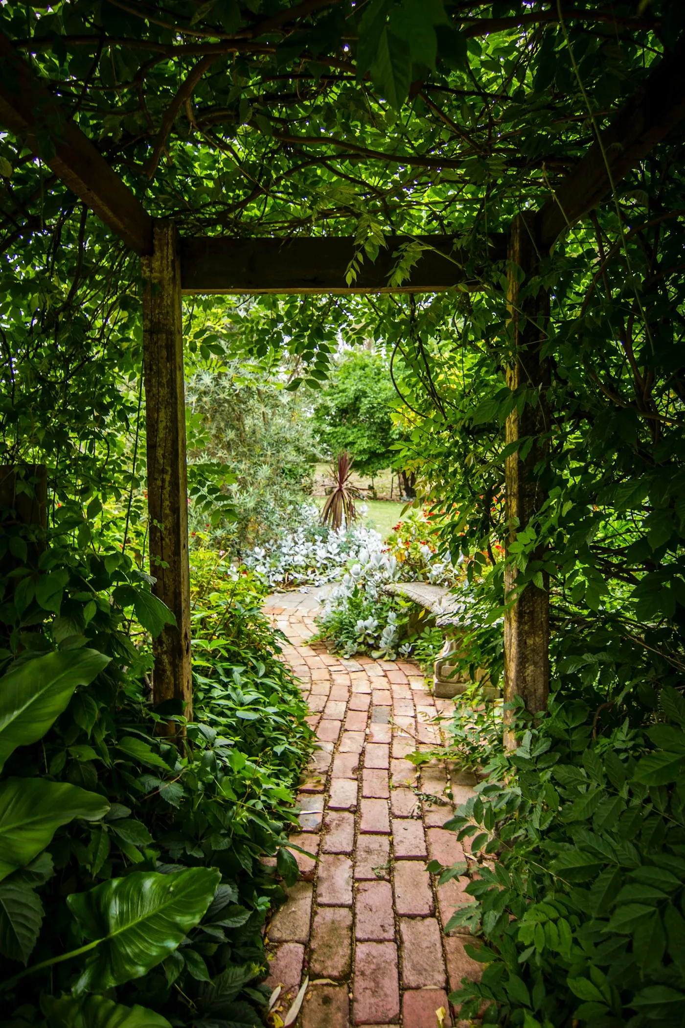 A brick path running under a wooden arbor through a garden