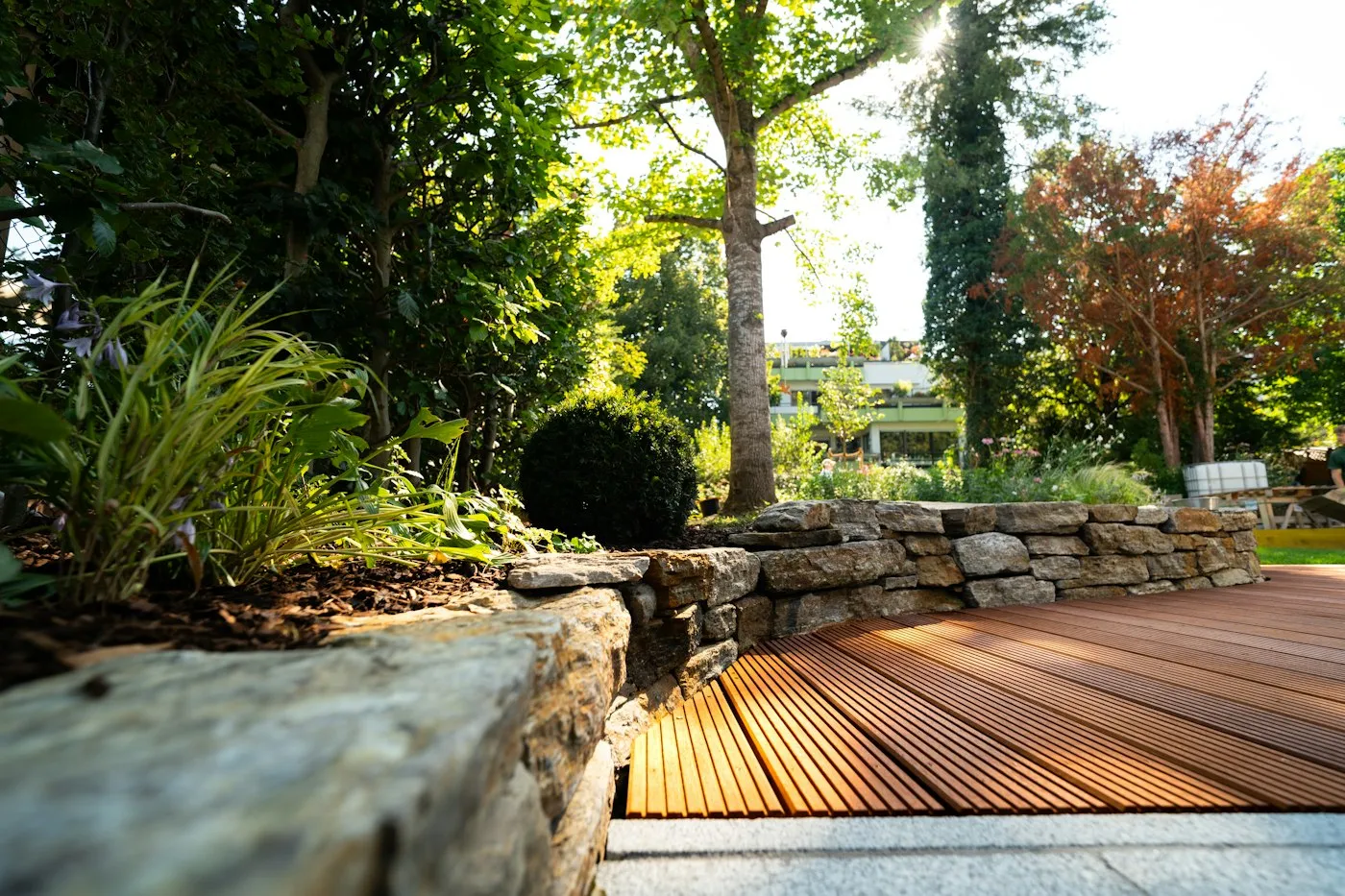 A wooden deck edged with boulders and new planting