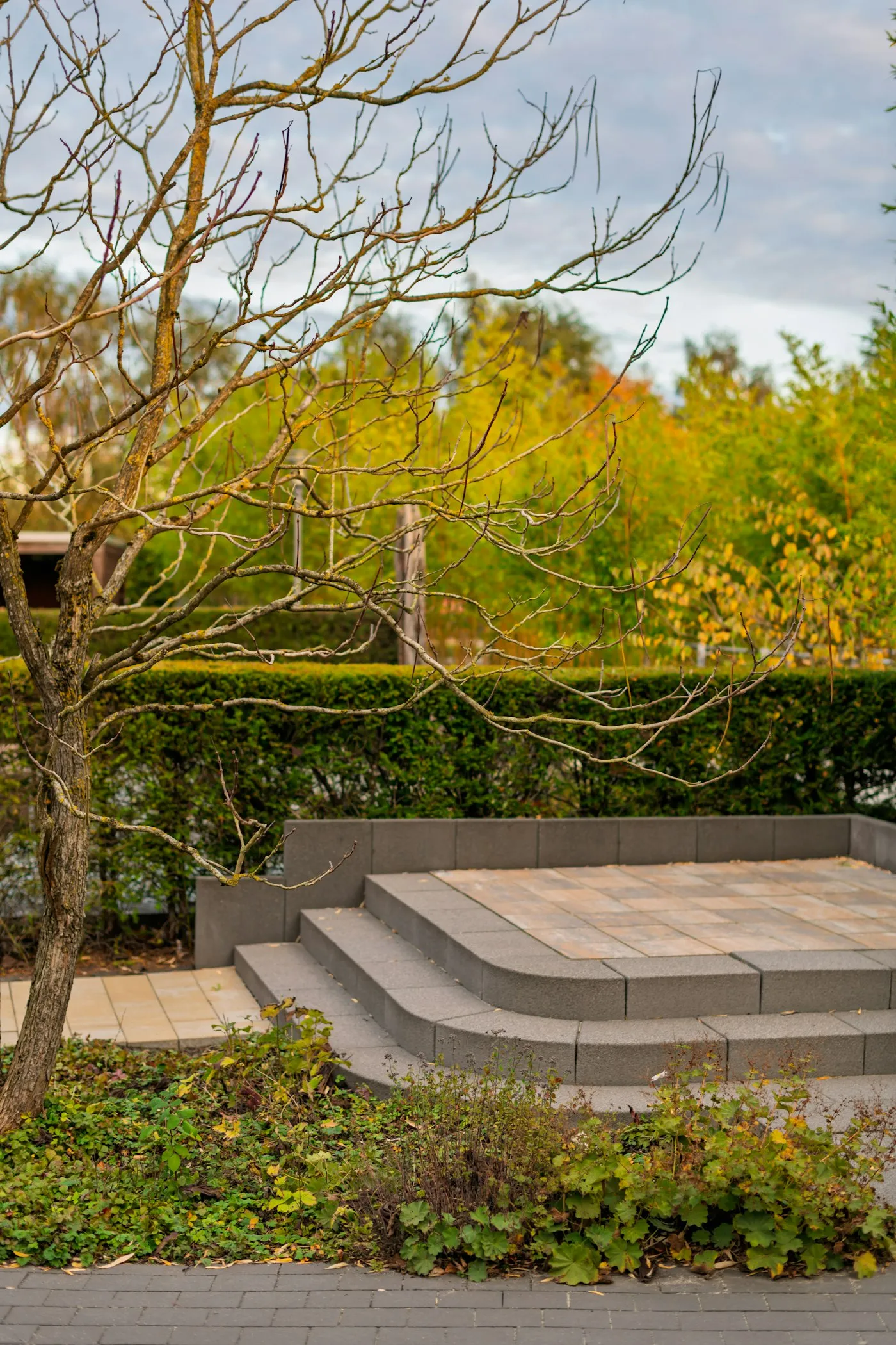 Curved stone steps leading to a paved patio below a hedge