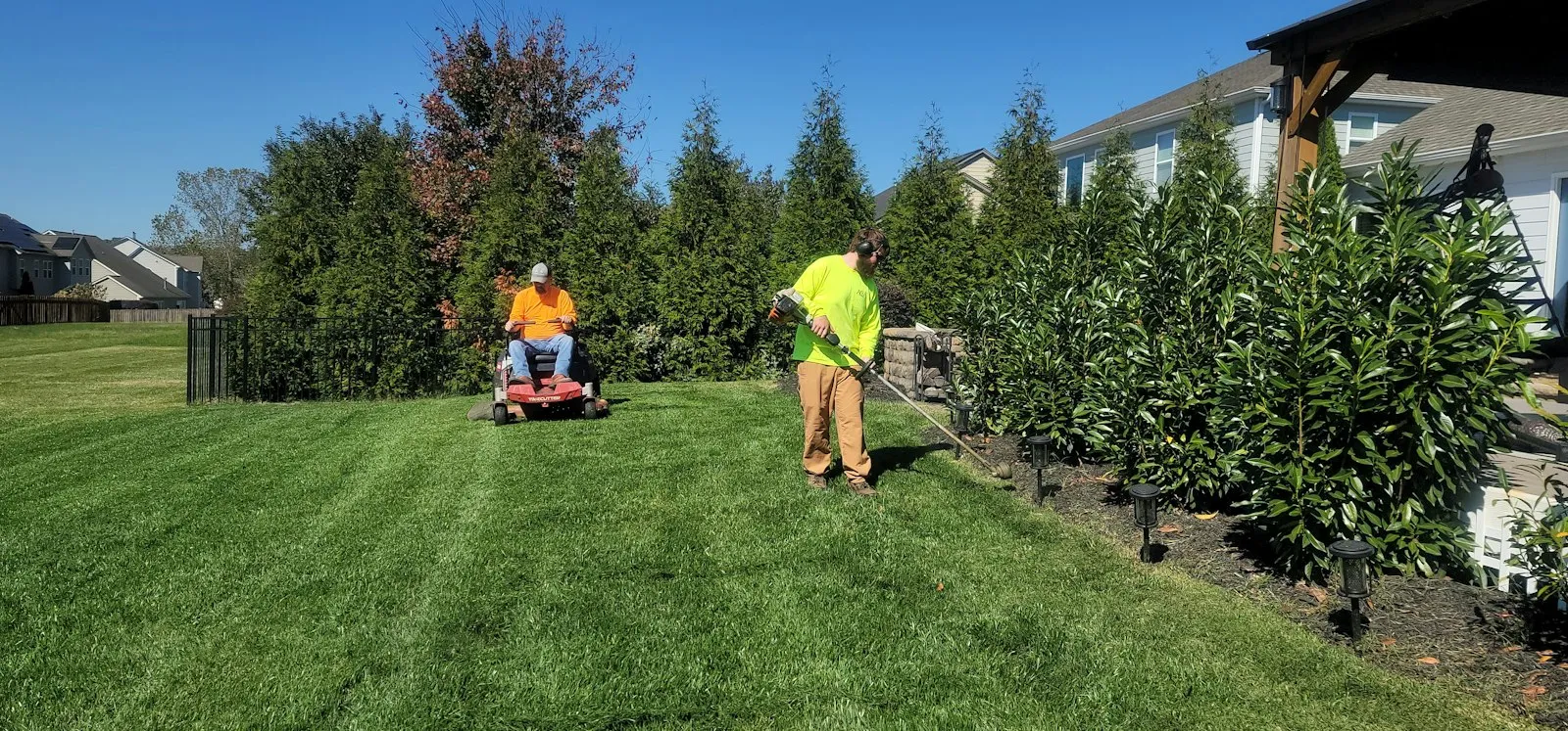Two crew members mowing and trimming a long green lawn beside a row of evergreens